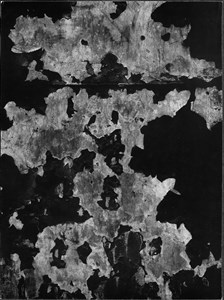 Image description is not available for 2024.070